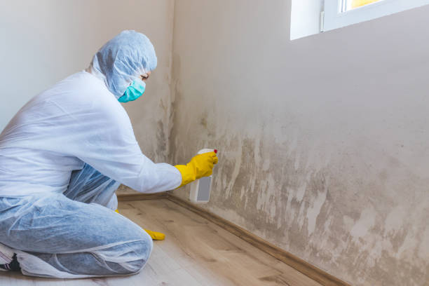 Crawl Space Mold Remediation treatment of floor joists in Roosevelt